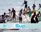 Stand Up Paddle boards - Surfing